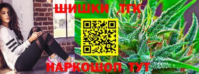 прущие грибы Бийск