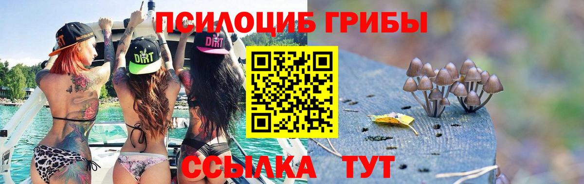 Псилоцибиновые грибы мухоморы  Вход с VPN  Карпинск 